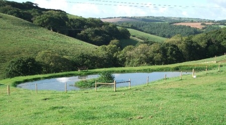 The pond at Liggars Farm campsite, St Keyne, Cornwall